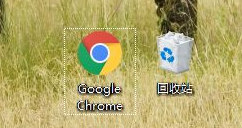 Google Chrome浏览器如何更换皮肤2