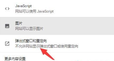google chrome浏览器打开新窗口不跳出来怎么办5