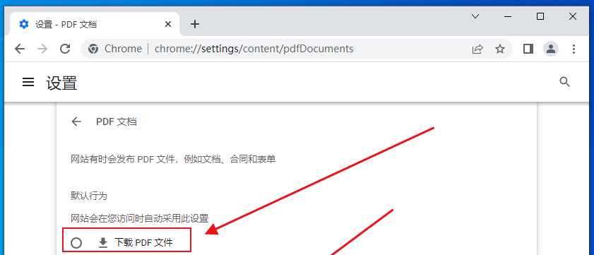 google chrome浏览器怎么下载pdf文件7