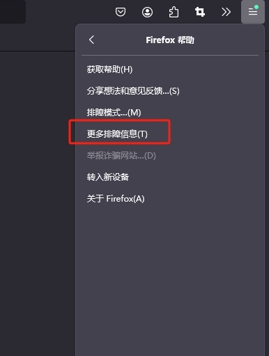 火狐浏览器如何清除启动缓存4