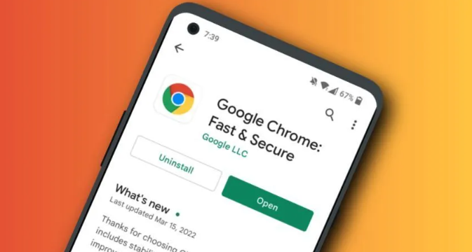 Google Chrome是否支持插件访问系统剪贴板1
